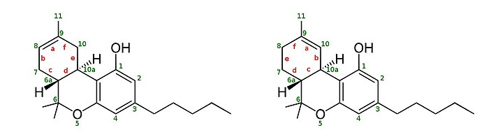 Cannavative Group Everything You Need To Know About Delta 8 Thc